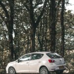 A white hatchback car parked by a scenic forest road during daytime, surrounded by trees.